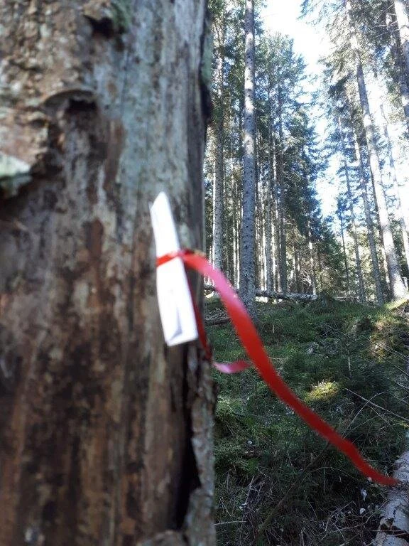 © DAV/Thomas Weinmüller