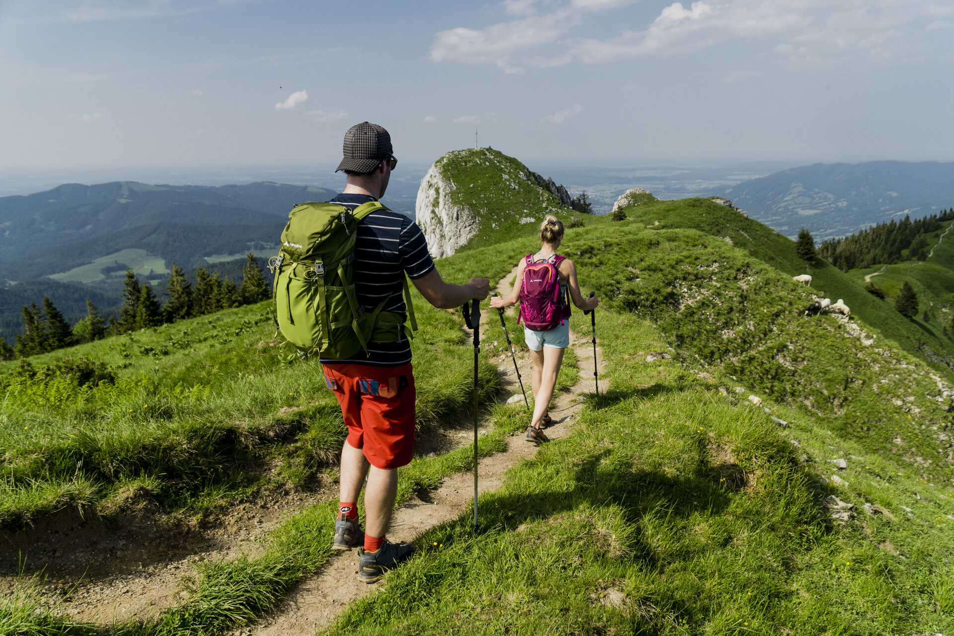 Wandern in den Chiemgauer Alpen | © DAV/Hans Herbig Zwei Wanderer auf den grünen Berghängen der Chiemgauer Alpen | © DAV/Hans Herbig